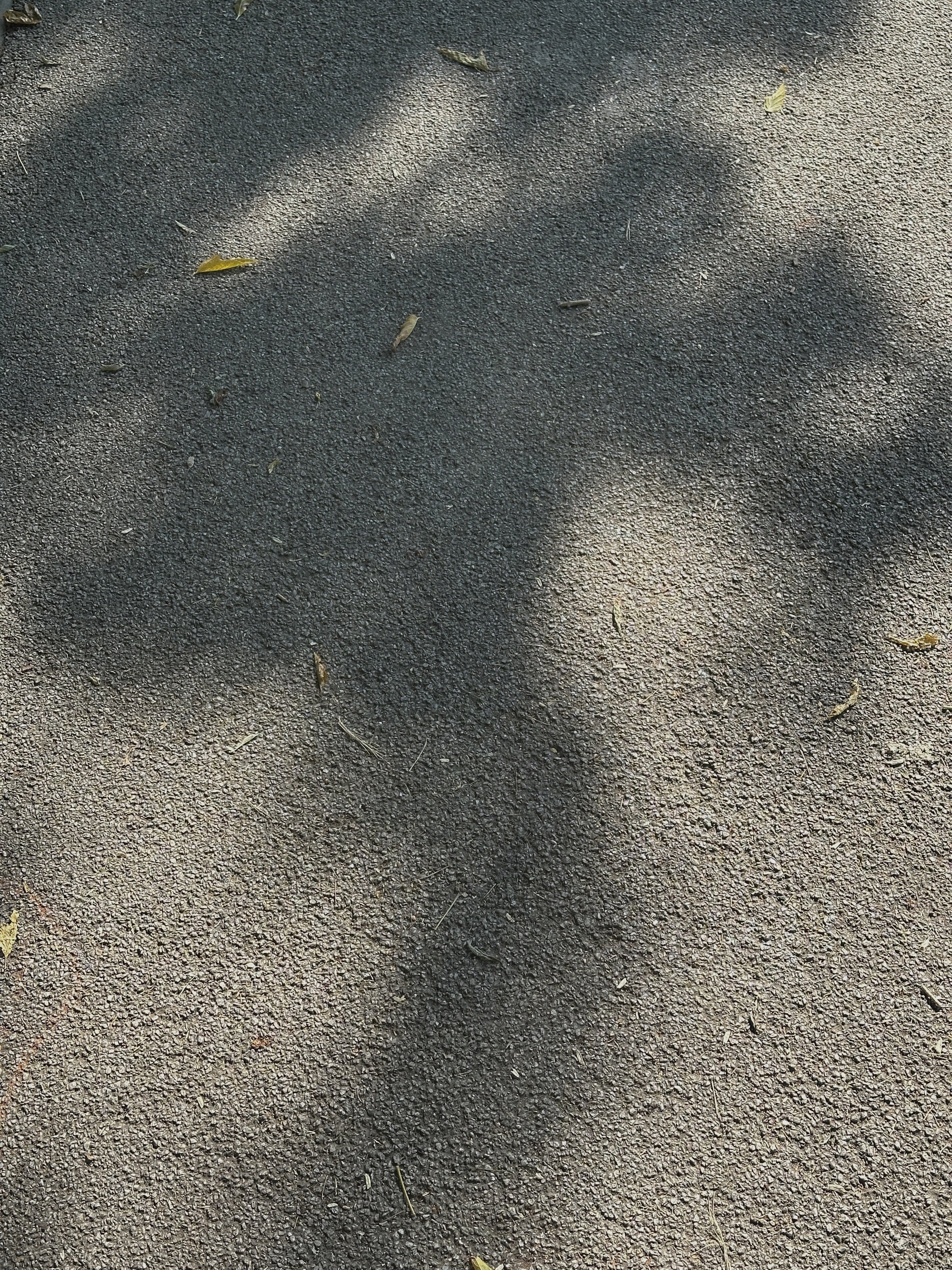 Siła natury w prostocie chwil